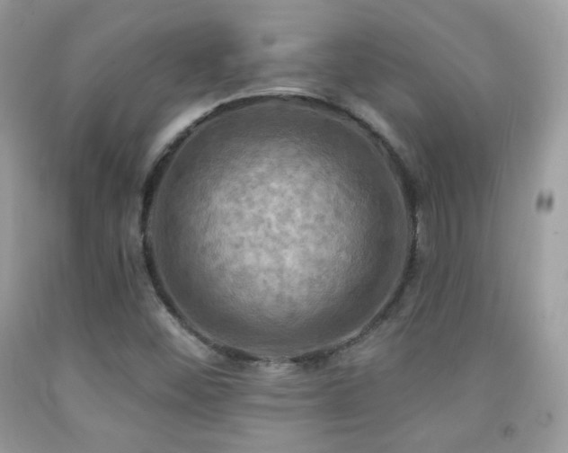 X0000091911452200709051409