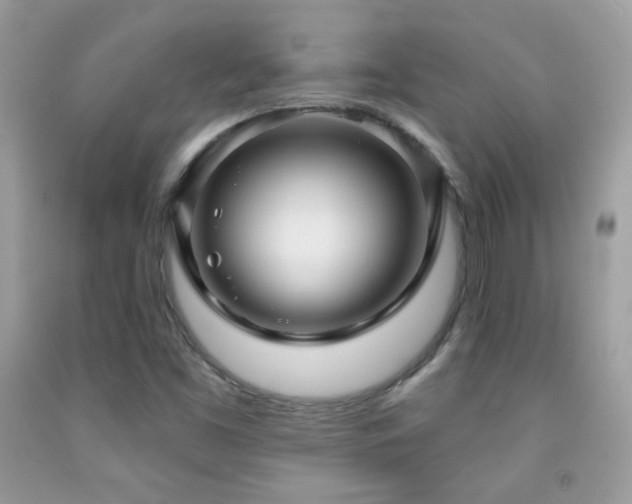X0000091911453200709051409