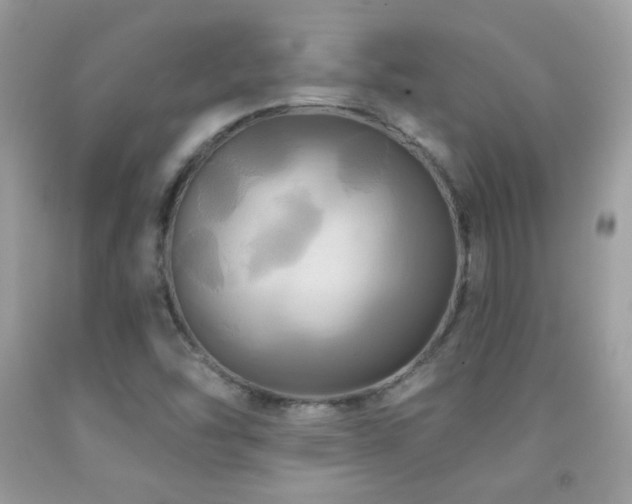 X0000091911454200709051409