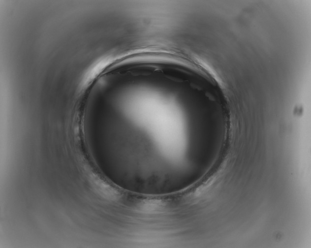 X0000091911455200709051409
