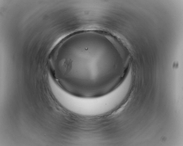 X0000091911457200709051408