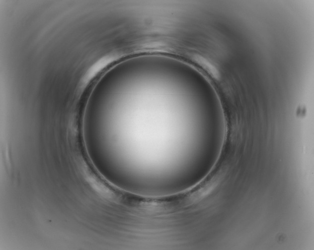 X0000091911458200709051408