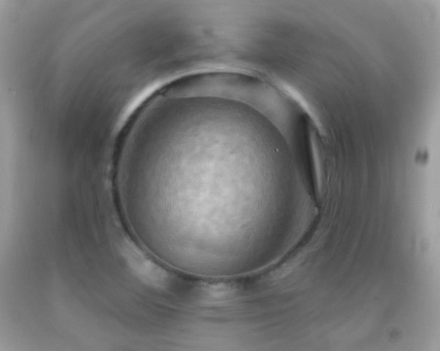 X0000091911460200709051408