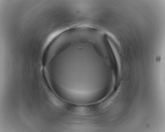 X0000091911461200709051408