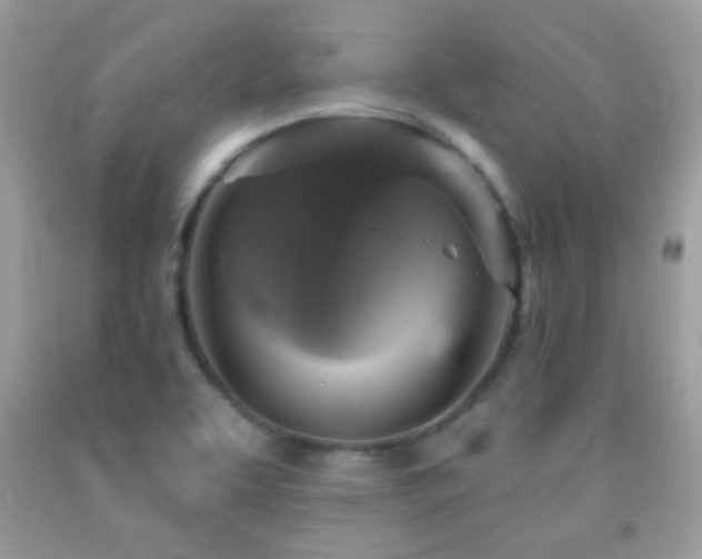X0000091911463200709051408