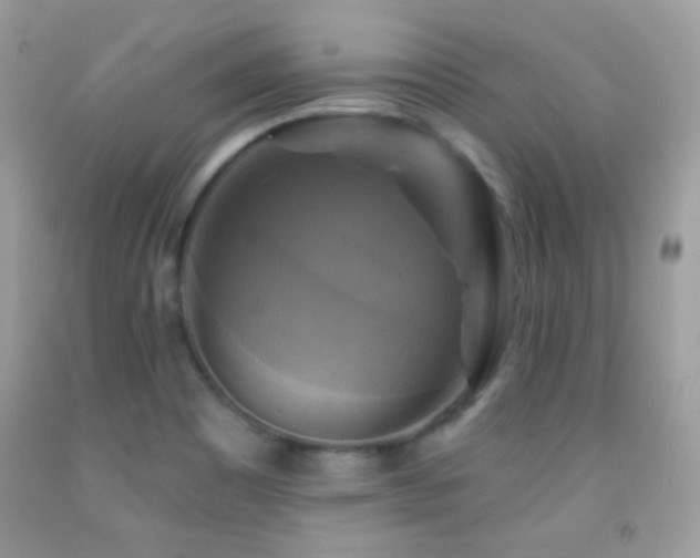 X0000091911465200709051408