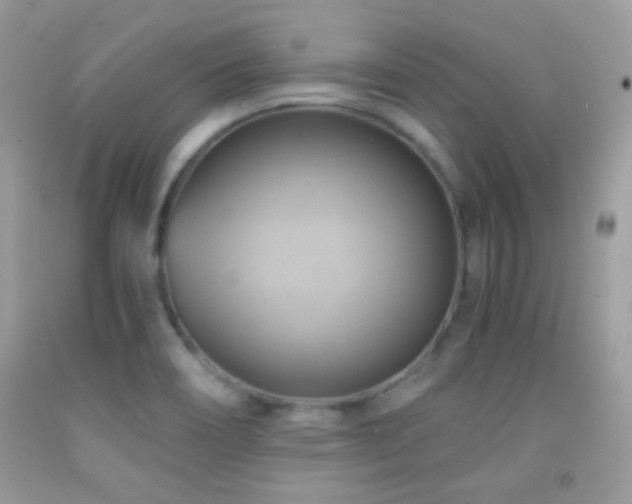X0000091911466200709051408