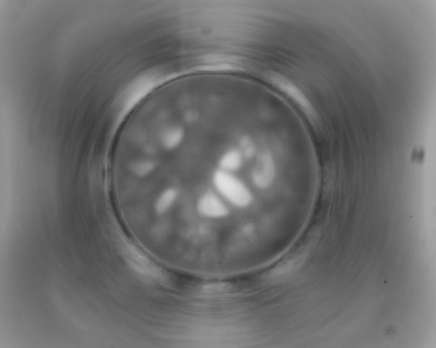 X0000091911467200709051408