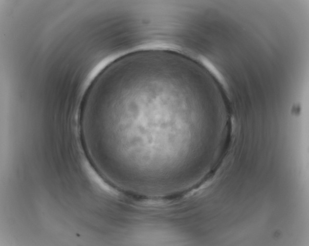 X0000091911468200709051408