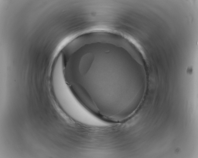 X0000091911469200709051408