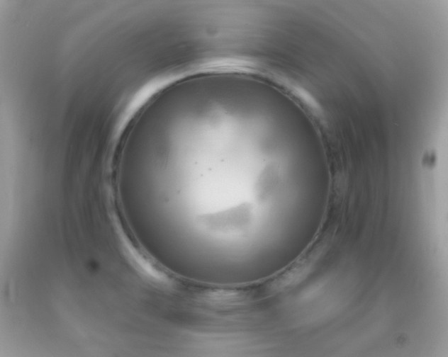 X0000091911470200709051408