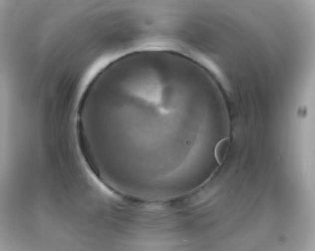 X0000091911472200709051408