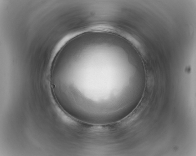 X0000091911478200709051408
