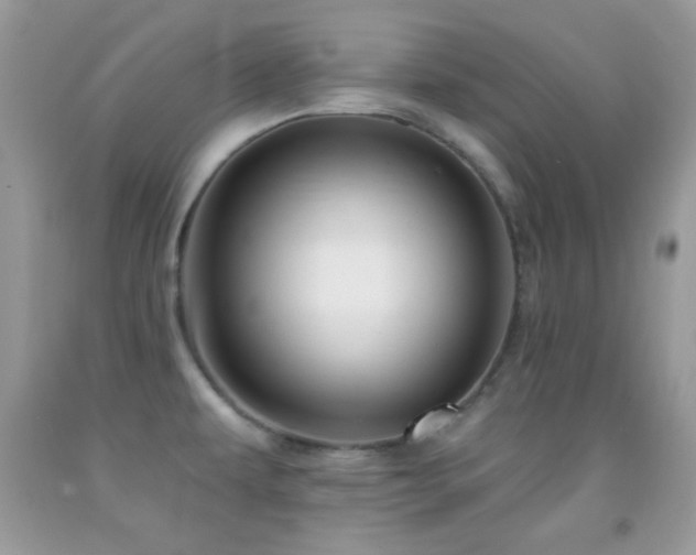 X0000091911479200709051408