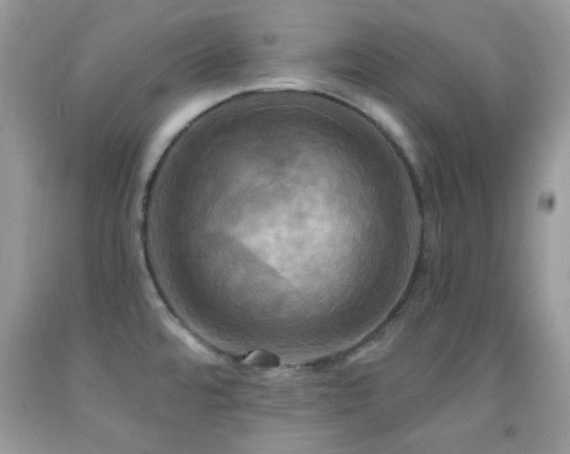 X0000091911480200709051408