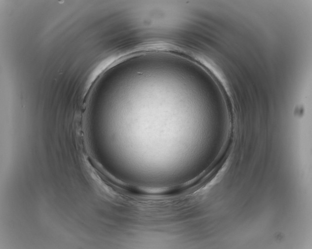 X0000091911481200709051408