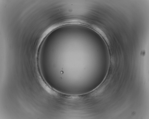 X0000091911482200709051408