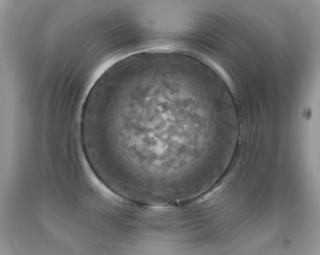 X0000091911483200709051408