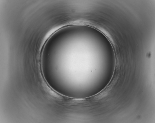 X0000091911486200709051408