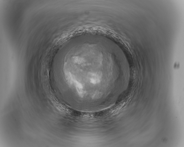 X0000091911489200709051408