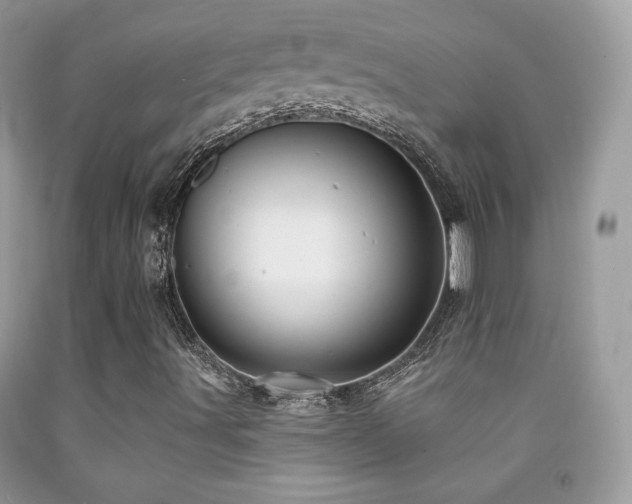 X0000091911491200709051408