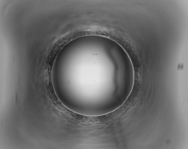 X0000091911493200709051408