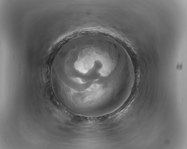 X0000091911494200709051408