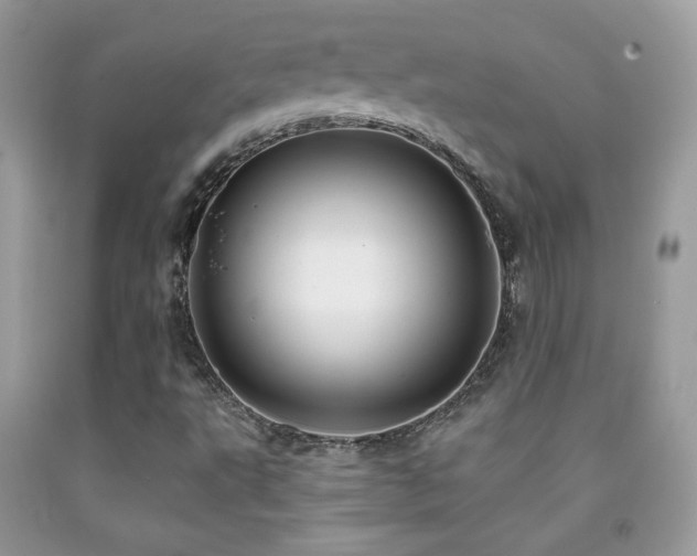 X0000091911495200709051408