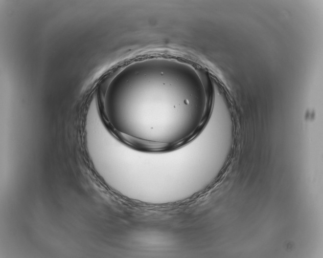 X0000091911496200709051408