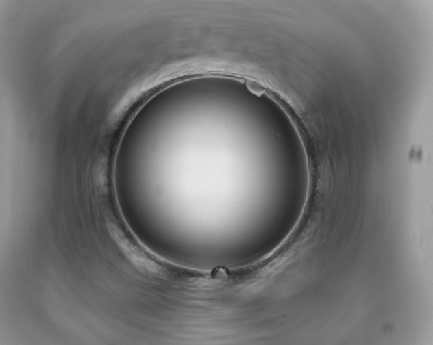 X0000091911499200709051408