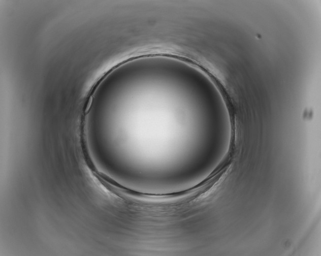 X0000091911500200709051408