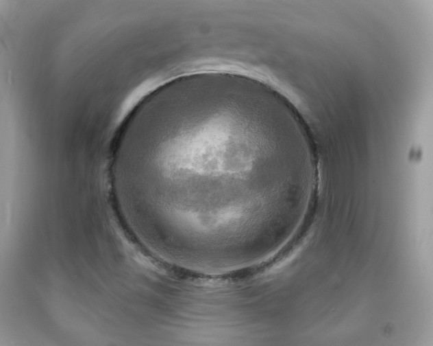 X0000091911501200709051408