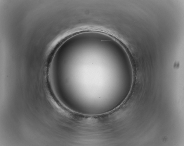 X0000091911503200709051408