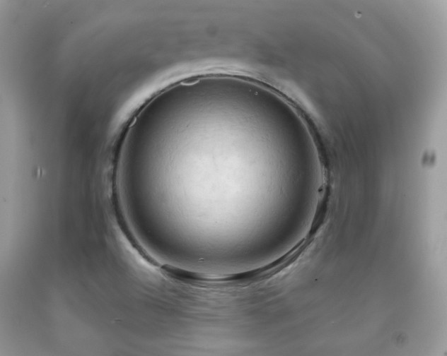 X0000091911504200709051408