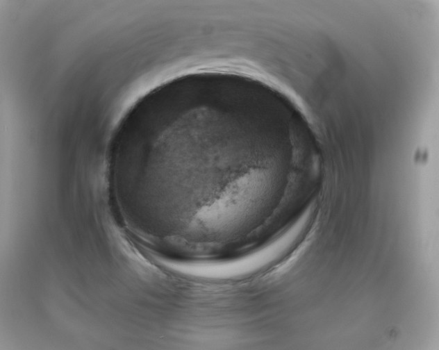 X0000091911506200709051408