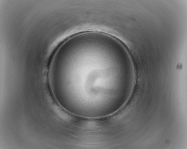 X0000091911507200709051408