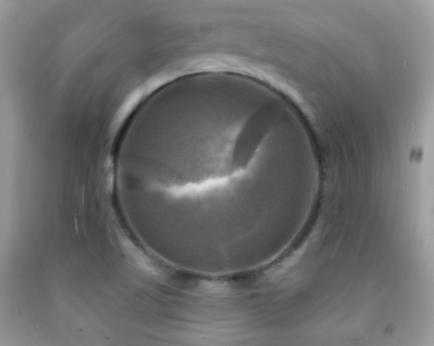 X0000091911509200709051408