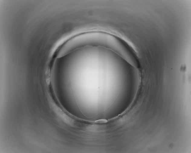 X0000091911510200709051408