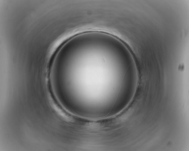 X0000091911511200709051408