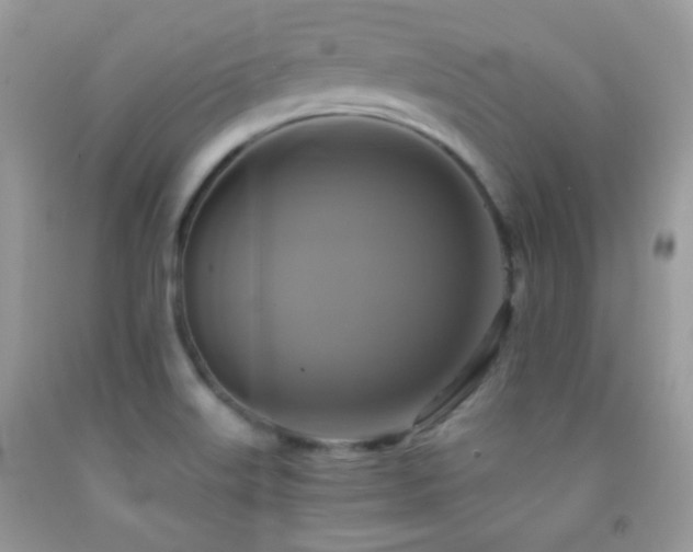 X0000091911515200709051408