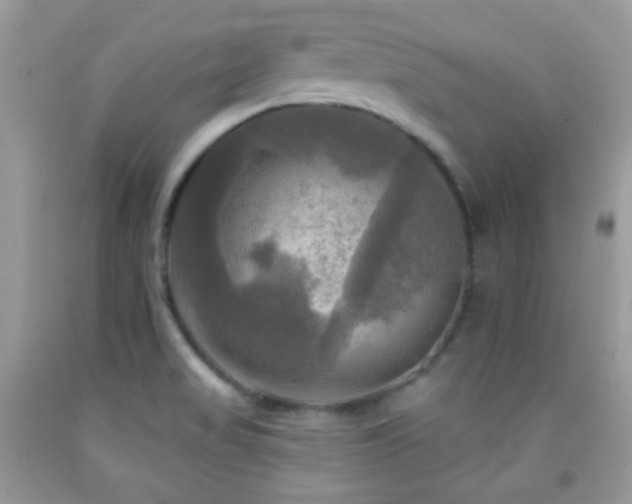 X0000091911517200709051408