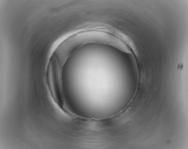 X0000091911520200709051408