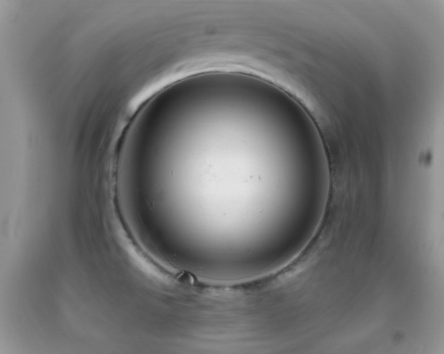 X0000091911526200709051408