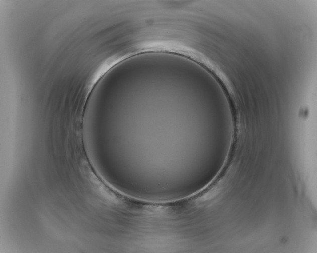 X0000091911529200709051408