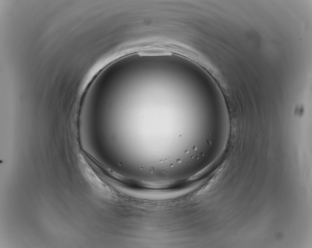 X0000091911530200709051408