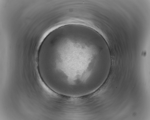 X0000091911531200709051408