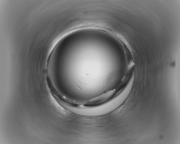 X0000091911532200709051408