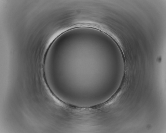 X0000091911533200709051408