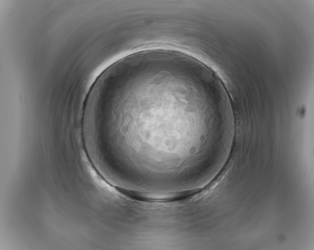 X0000091911534200709051408