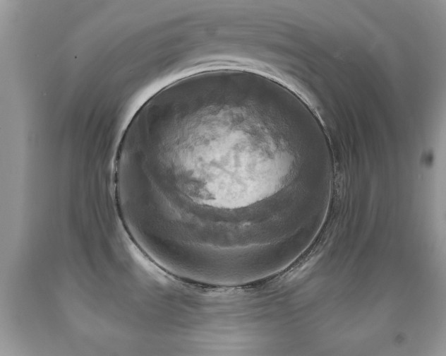 X0000091911535200709051408